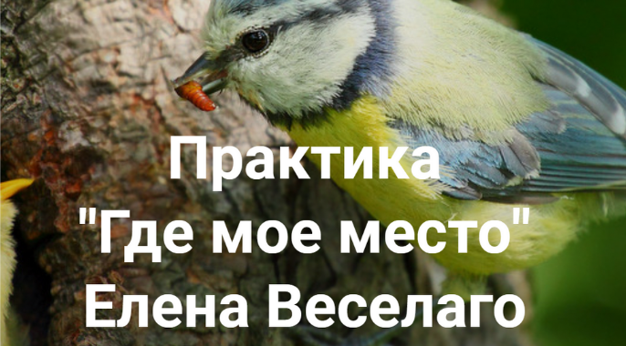 [Елена Веселаго] Практика _Где мое место_ (2022)_0.png